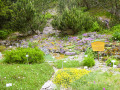 Im 'Rennsteiggarten' - farbenprächtige alpine Flora in gepflegter Anlage
